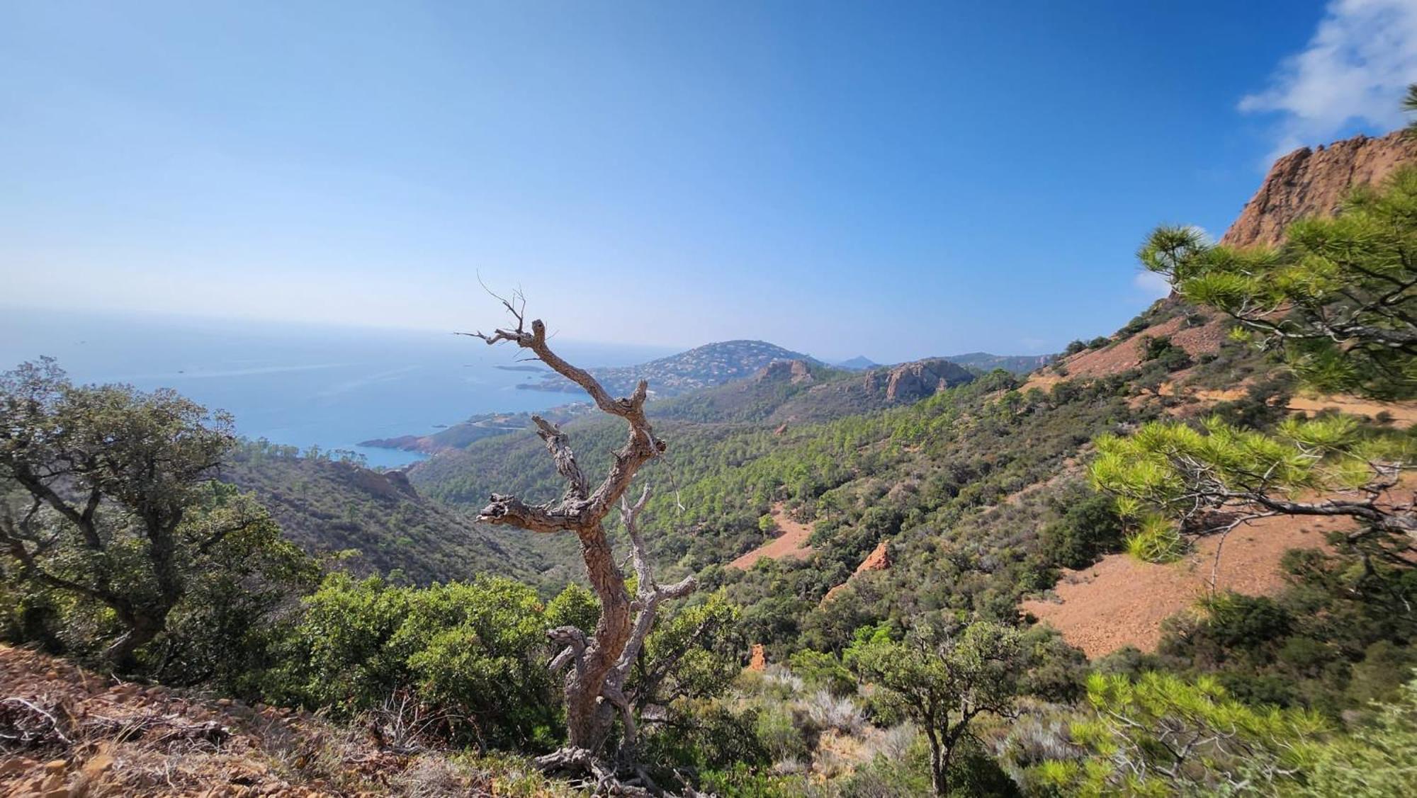Saint-Raphael- Vue Mer Et Massif De L'Esterel Екстериор снимка